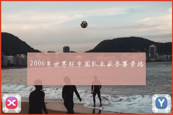 2006年世界杯中国队未获参赛资格